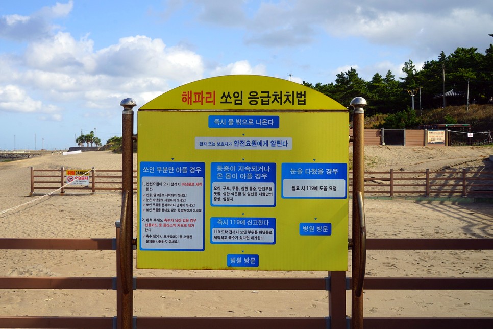 제주공항 근처 이호테우해변, 용두암 여행코스