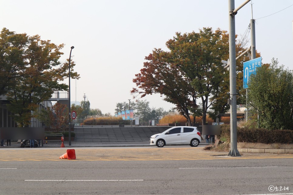 서울 가볼만한곳 노들섬 한강 데이트 추천!