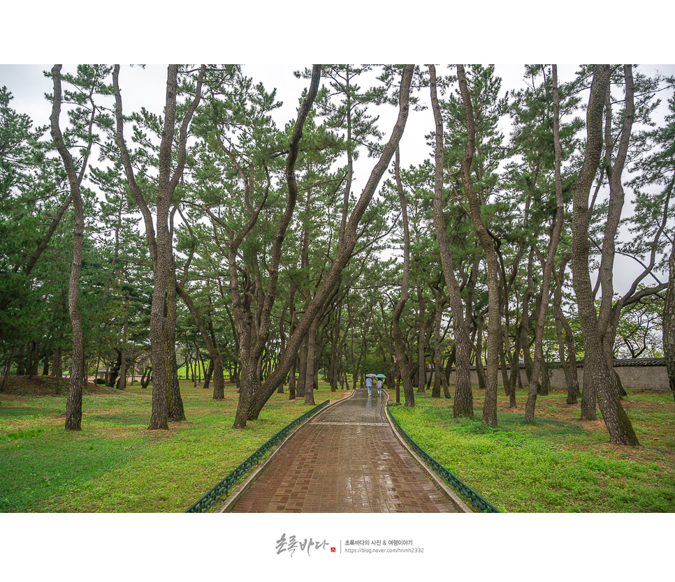 경주 여행 경주 대릉원 천마총&경주 먹거리 국내여행추천