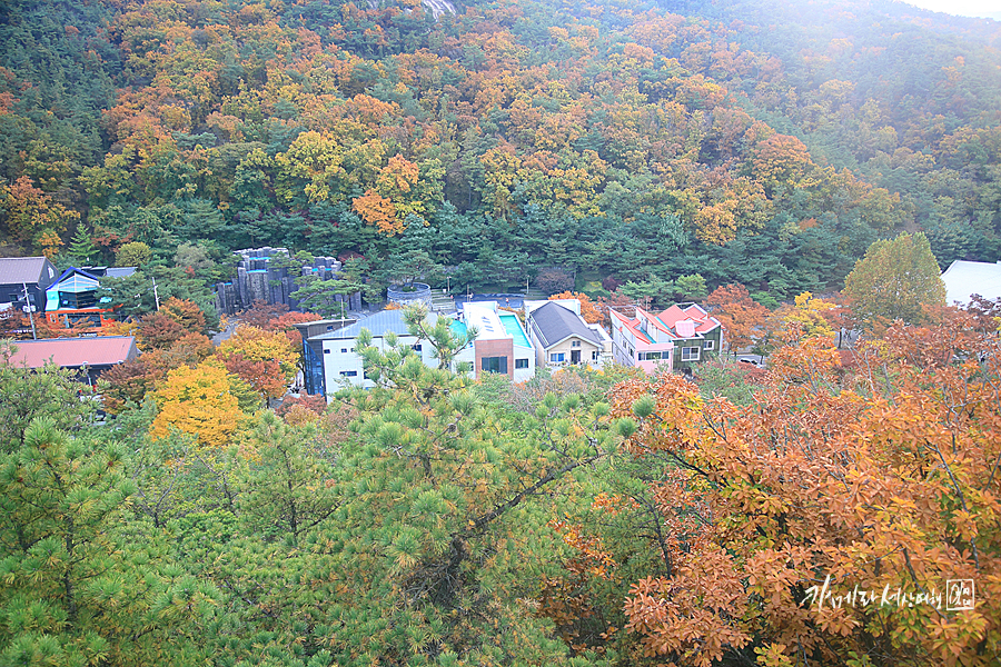 단풍 여행 가을 단풍 명소 안양예술공원 관악산 둘레길