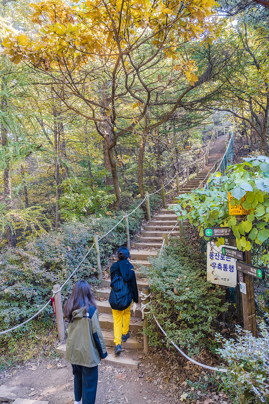 서울 등산초보를 위한 청계산 등산코스 및 단풍 근황(10. 28)