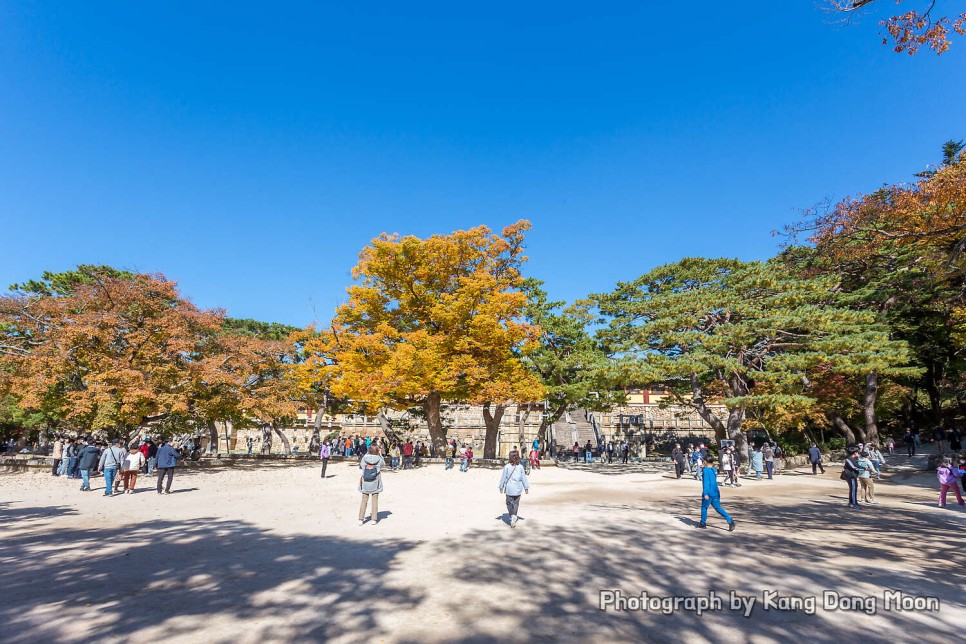 경주 가볼만한곳 유적지 역사 여행 코스 볼거리 확실한 가을 단풍 명소 경주 불국사