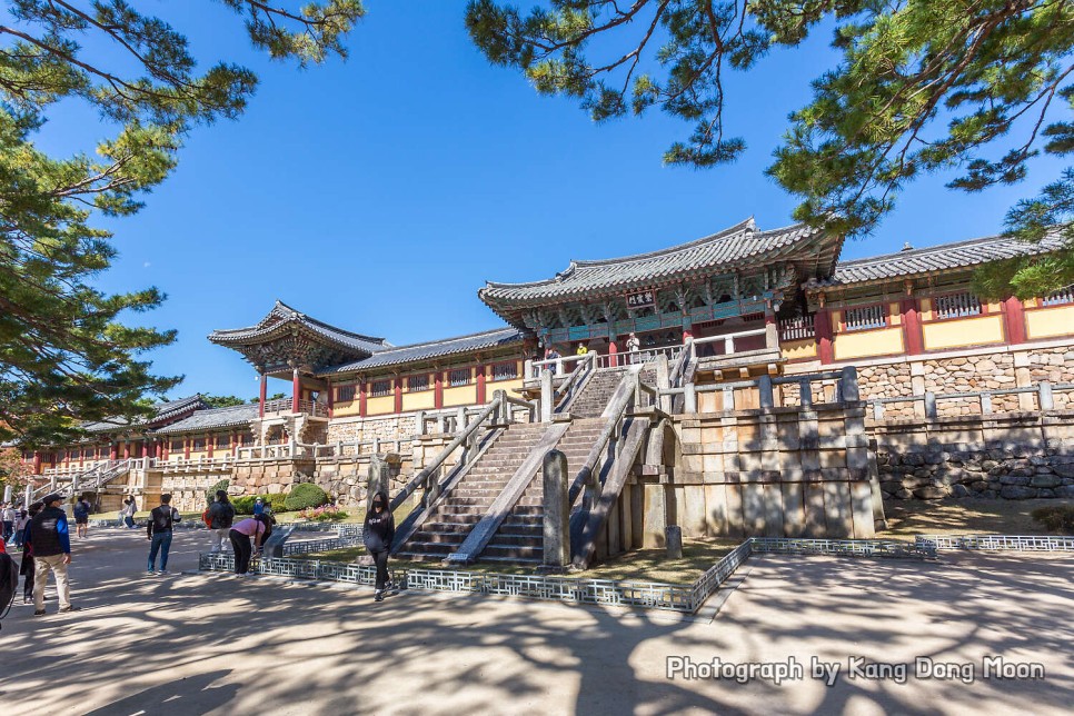 경주 가볼만한곳 유적지 역사 여행 코스 볼거리 확실한 가을 단풍 명소 경주 불국사