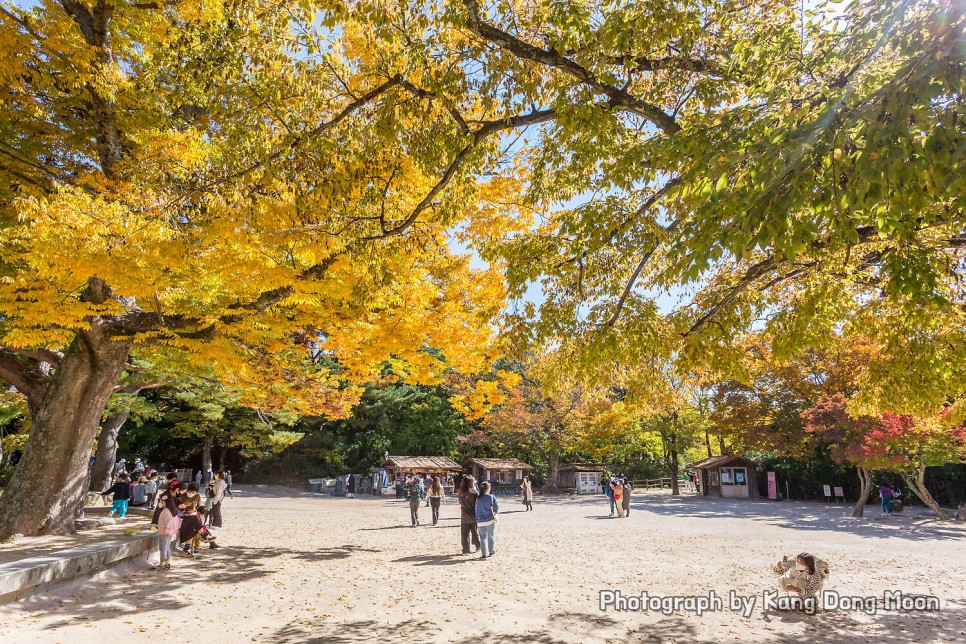 경주 가볼만한곳 유적지 역사 여행 코스 볼거리 확실한 가을 단풍 명소 경주 불국사