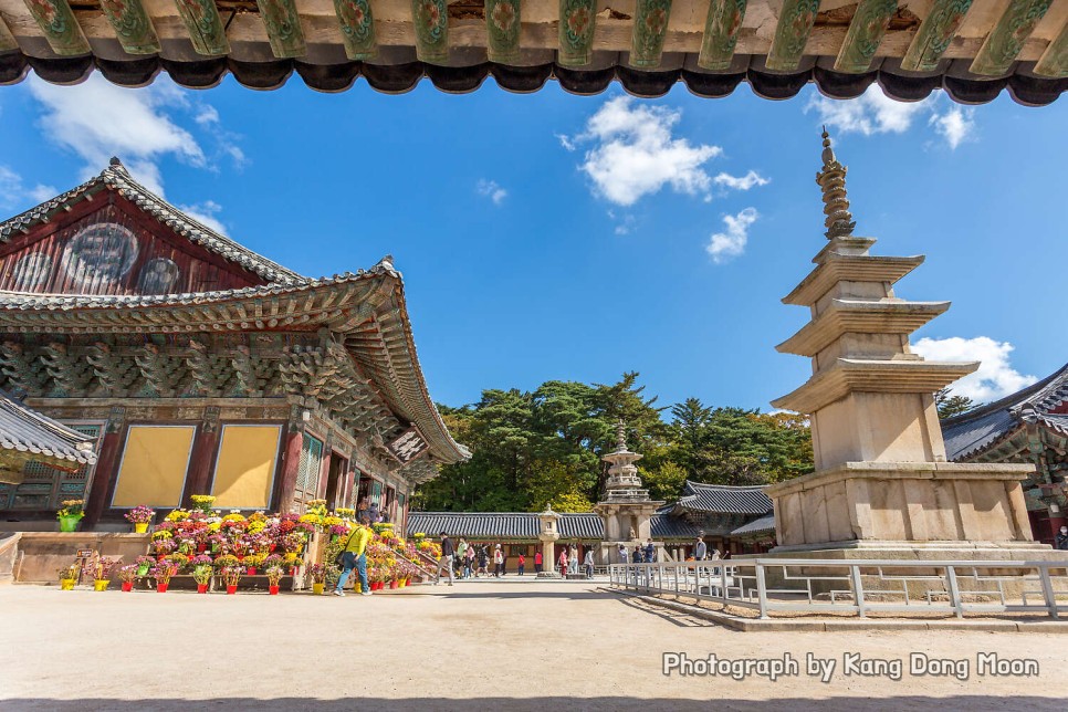 경주 가볼만한곳 유적지 역사 여행 코스 볼거리 확실한 가을 단풍 명소 경주 불국사