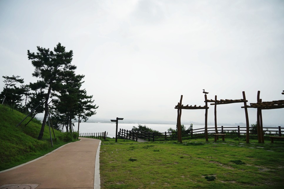 포항 가볼만한곳 구룡포 일본인 가옥거리, 호미곶, Park1538 등
