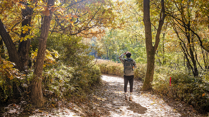 서울 등산초보를 위한 청계산 등산코스 및 단풍 근황(10. 28)