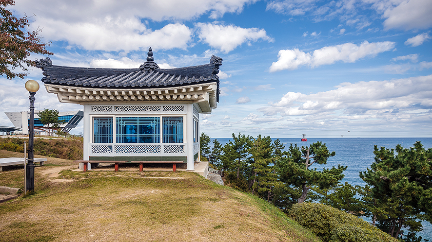 강원도 삼척 여행코스 관광지 볼거리 카페까지 총7곳(초곡용굴촛대바위길, 삼척레일바이크)