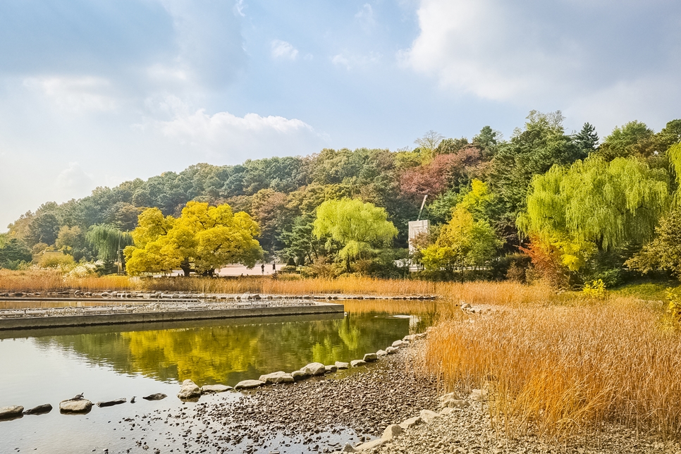 갤럭시S21 플러스 촬영, 보라매공원 가을풍경