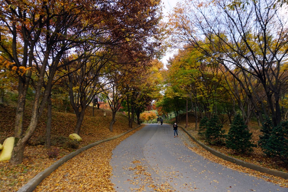 충주 가볼만한곳 석종사 단풍 명소 인정!