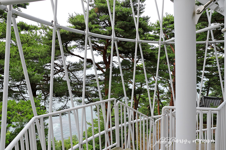 강원도 양양 가볼만한곳 죽도정 주변 죽도 해수욕장 해변 서퍼비치