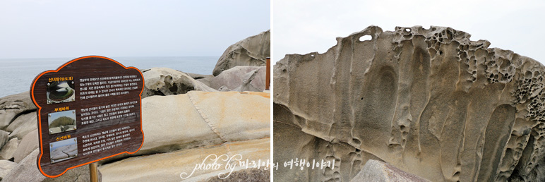 강원도 양양 가볼만한곳 죽도정 주변 죽도 해수욕장 해변 서퍼비치