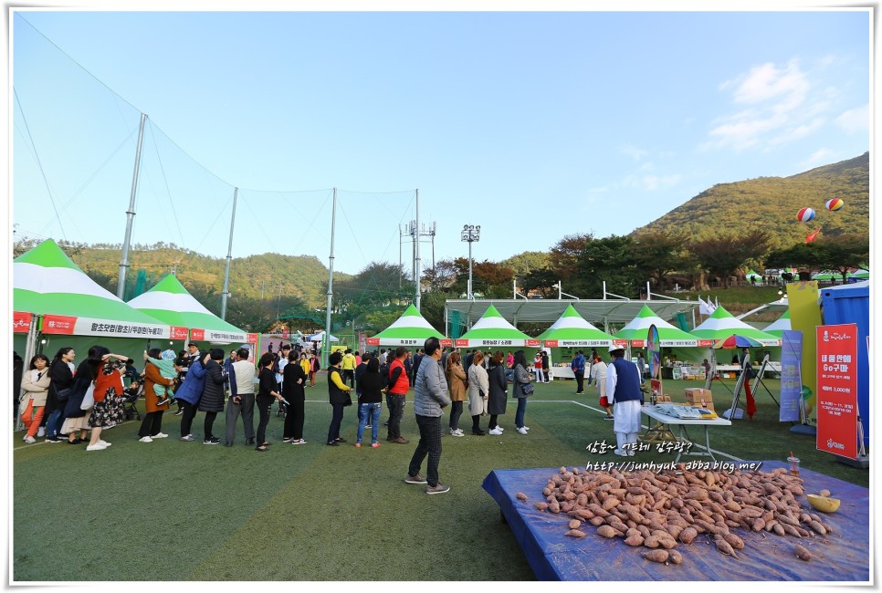 11월 전남축제 2021 해남미남축제