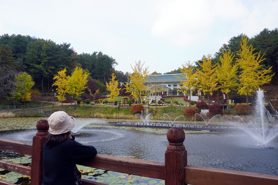 인천 가볼만한곳 강화도 국내 섬 여행으로 굿!