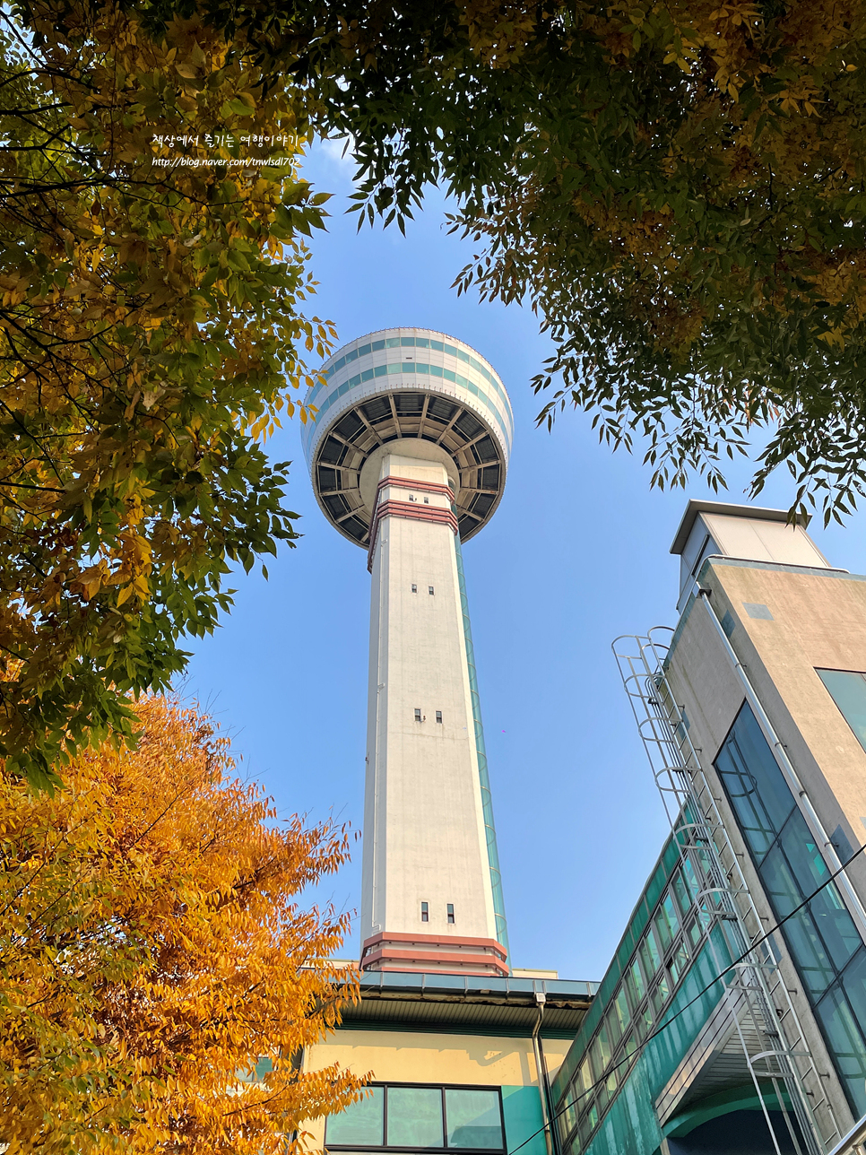 경기도 아이와 가볼만한곳 구리 곤충생태관 구리타워