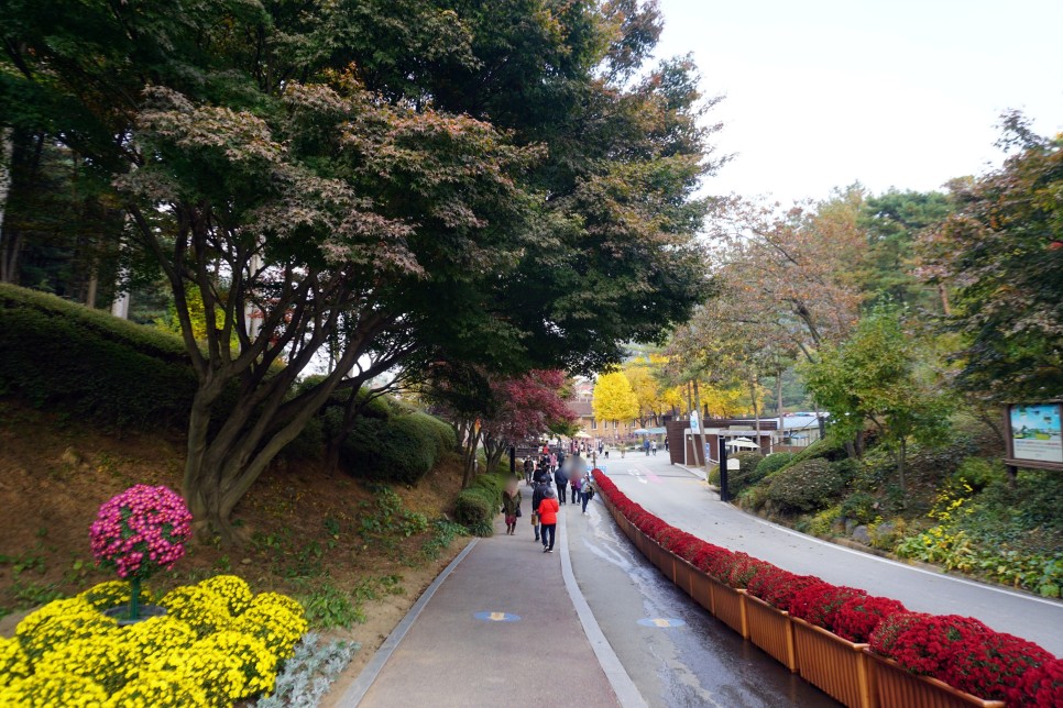 가을에 가볼만한곳 청주 청남대 대전 근교 드라이브 코스로 딱 좋아