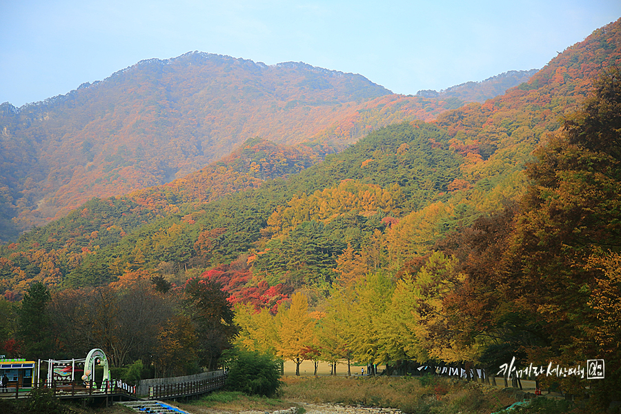 경북 문경 여행 코스 문경새재도립공원 단풍 절정~