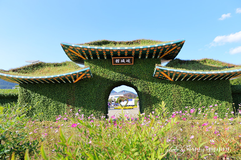 경남 축제 거제 섬꽃축제 핑크뮬리 국화~ 가을 꽃축제