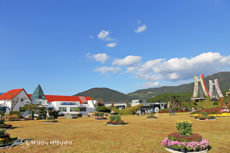경남 축제 거제 섬꽃축제 핑크뮬리 국화~ 가을 꽃축제