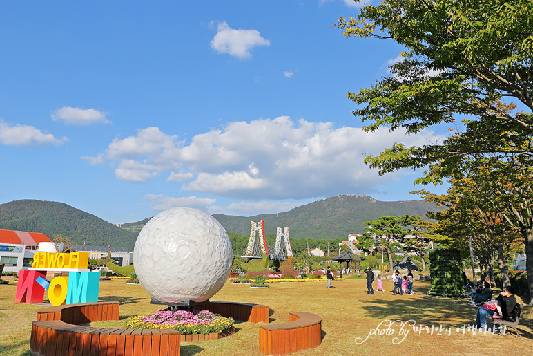 경남 축제 거제 섬꽃축제 핑크뮬리 국화~ 가을 꽃축제