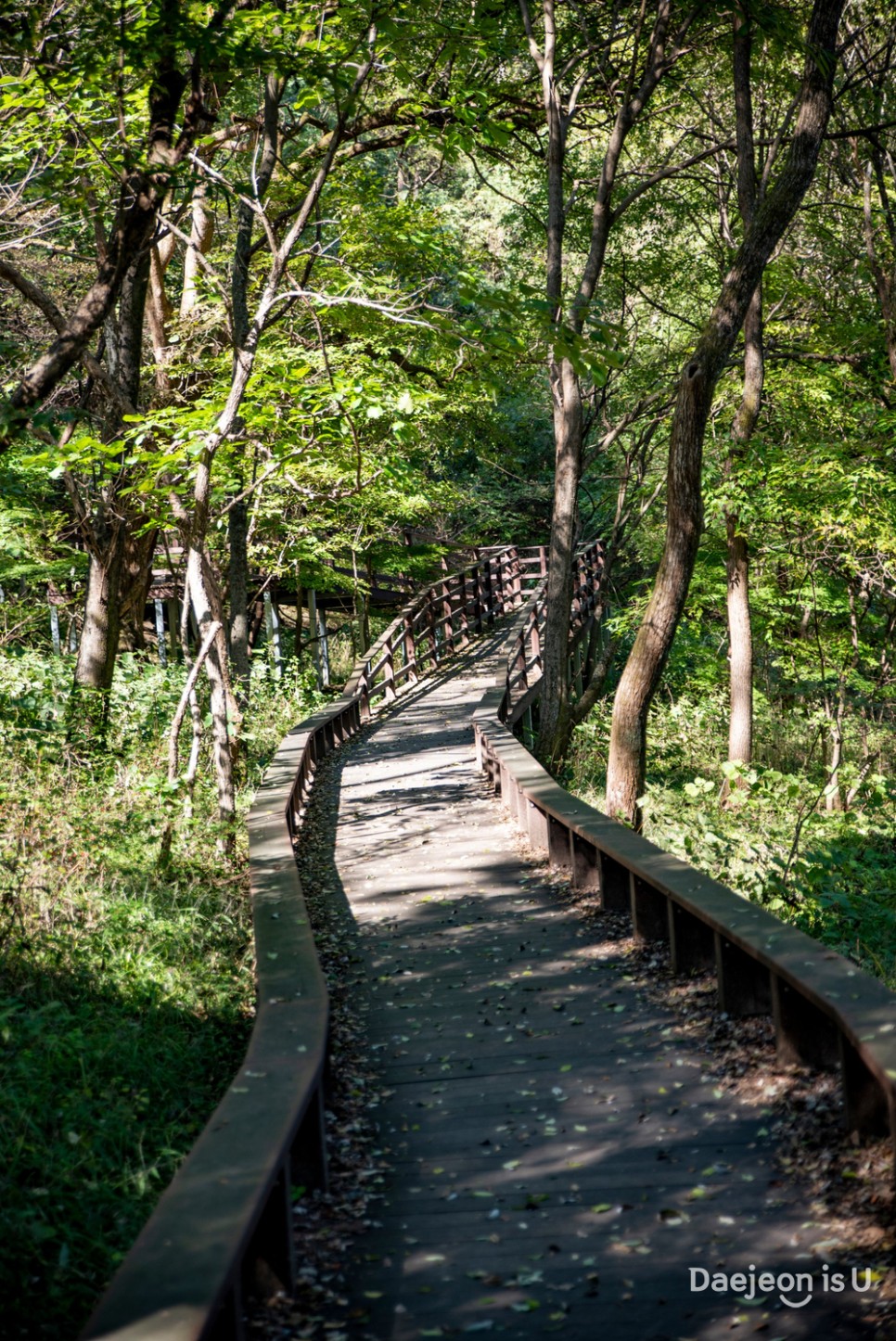 식장산에서 대전시를 둘러보고 세천 유원지에서의 천천히 걷는 산책은 힐링입니다.