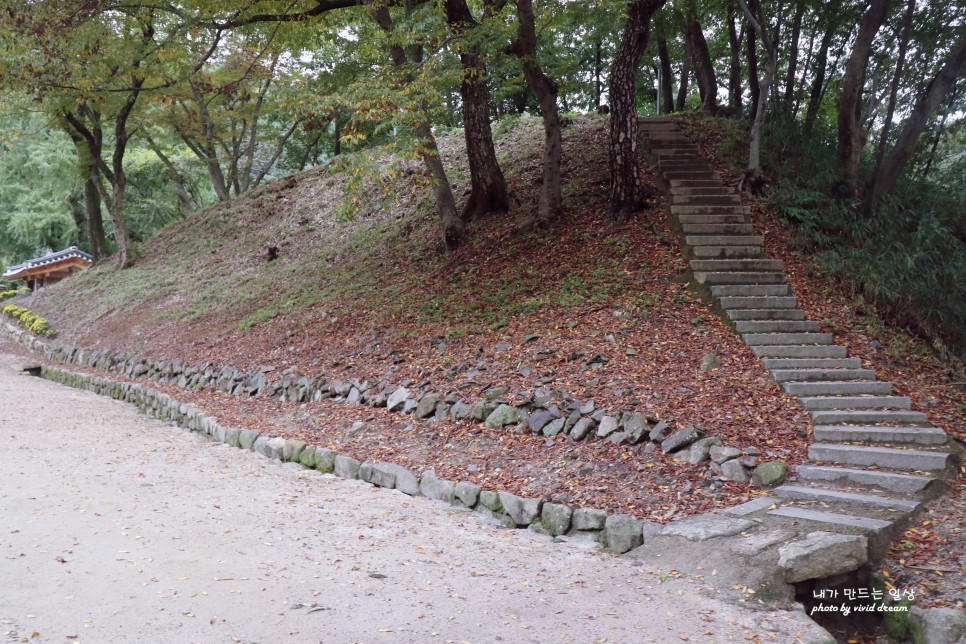 경주 가볼만한곳 11월에 가기 좋은 운곡서원 은행나무명소