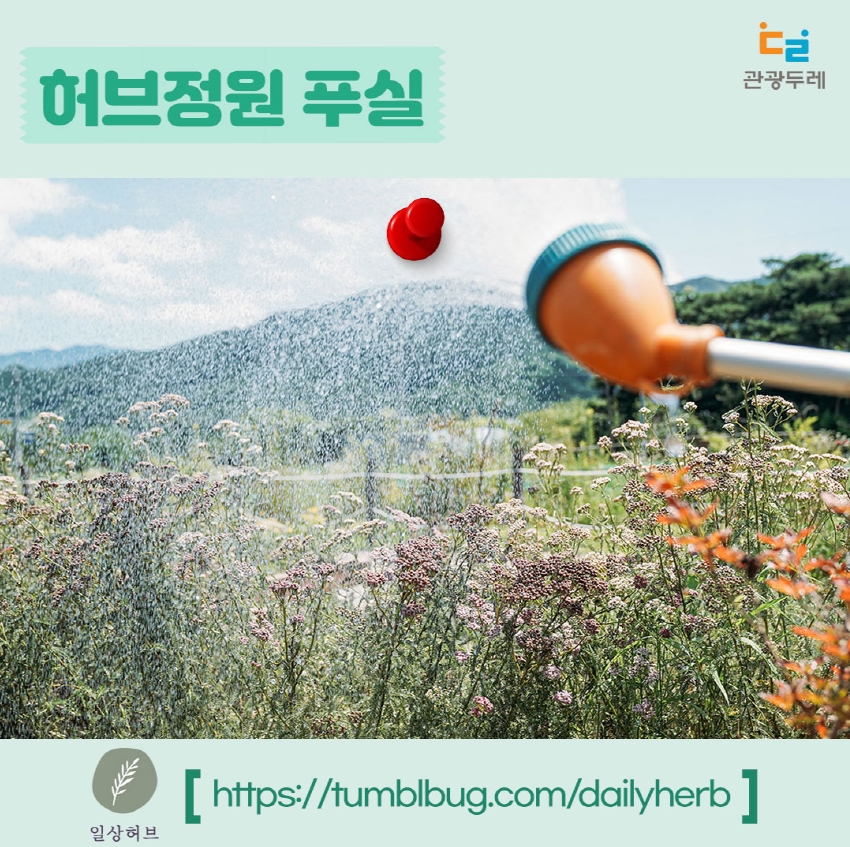 강원 관광두레 상생 프로젝트 크라우드펀딩 시작!