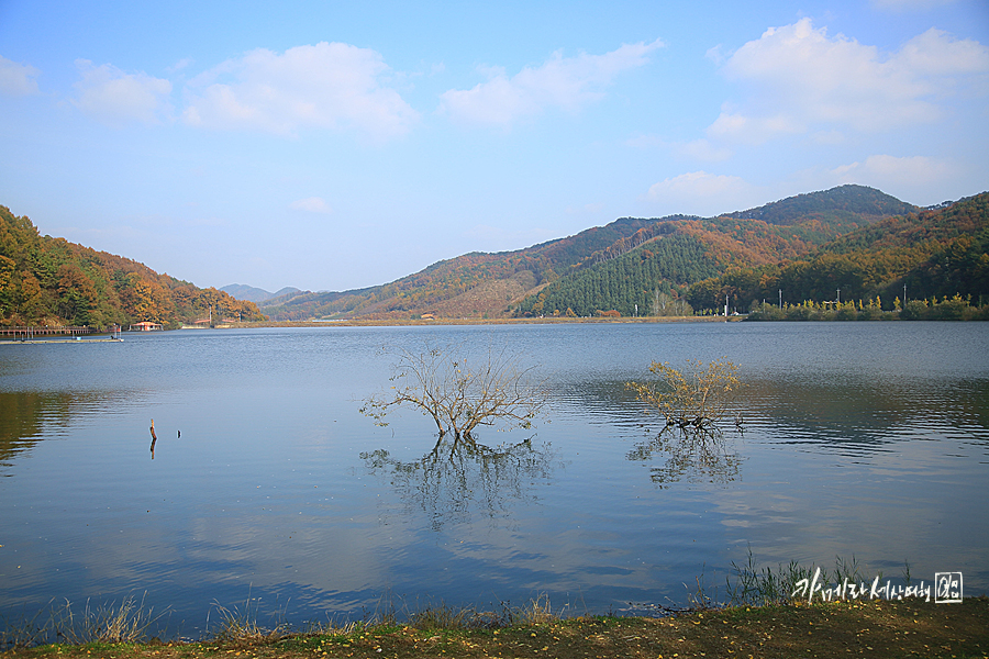 충북 여행지 단풍 드라이브 괴산 문광저수지