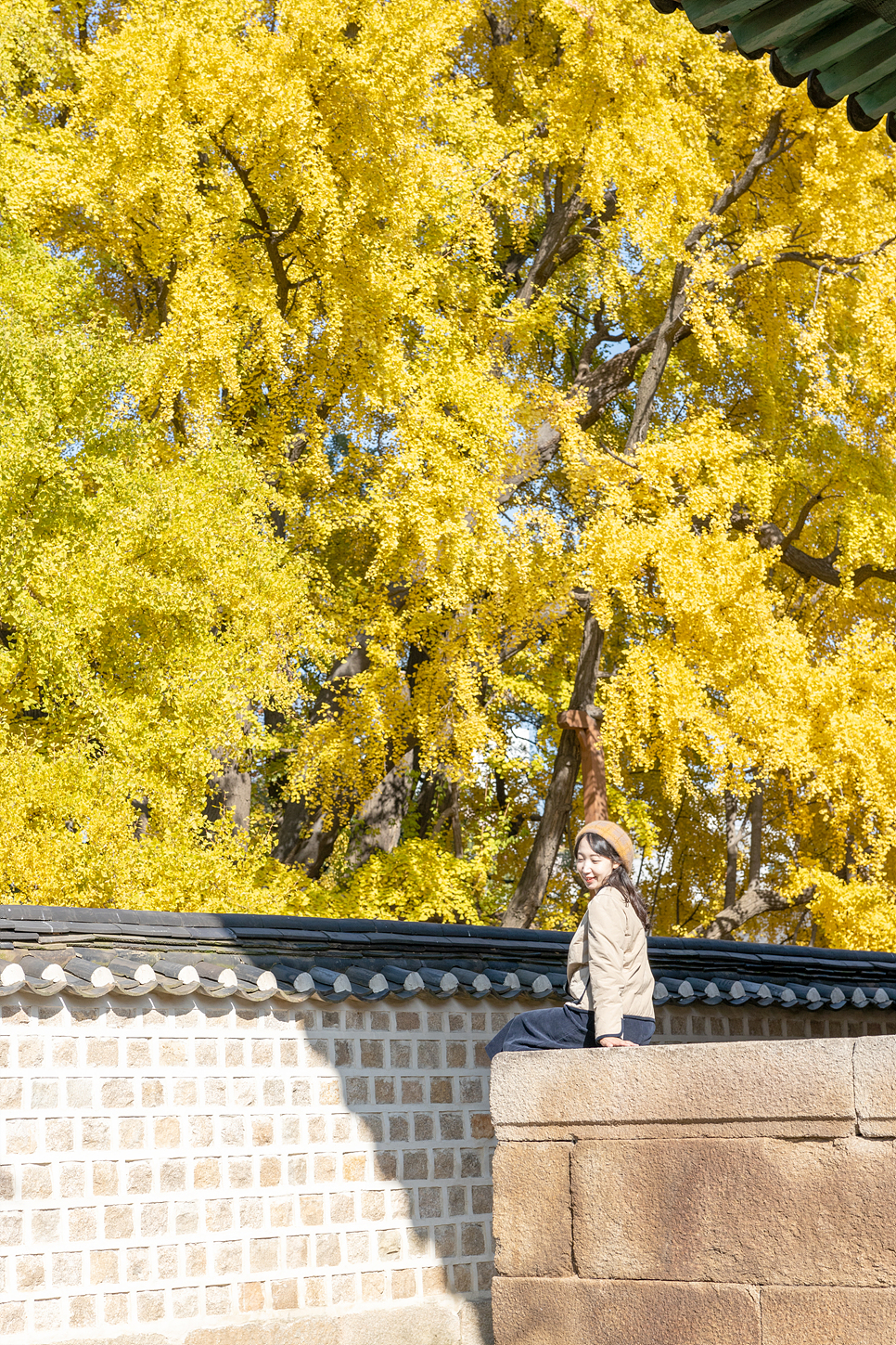 가을 여행 서울 데이트 나들이 성균관대 명륜당 은행나무