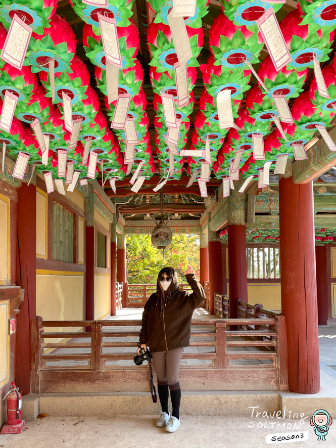 경주 가볼만한곳 불타는 단풍 가을 불국사