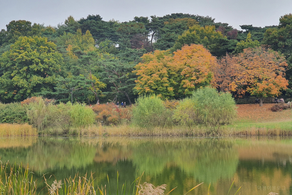가을 서울 단풍 명소 사진 찍기 좋은곳 올림픽공원 영희 위치 까지