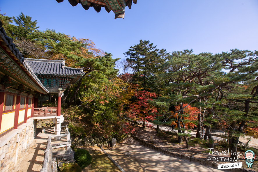 경주 가볼만한곳 불타는 단풍 가을 불국사