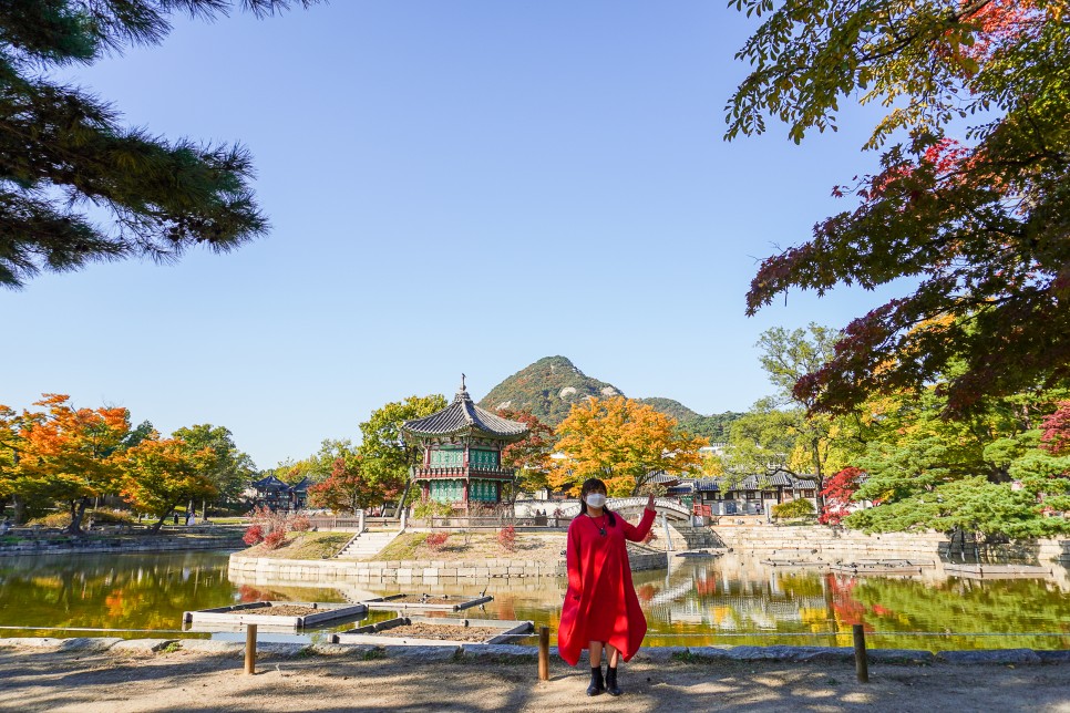 경복궁 투어  투어라이브 오디오투어 위드코로나 가을여행