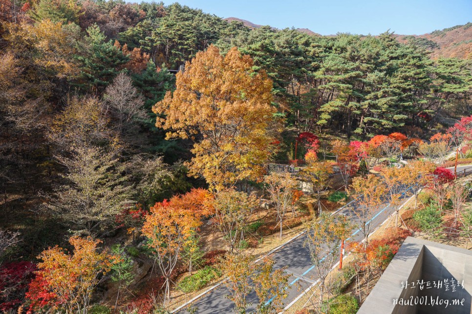 아고다 11월 할인코드 아무때나 가능