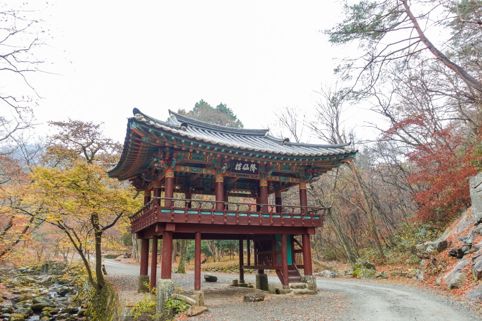 순천가볼만한곳 순천 선암사 가을여행지