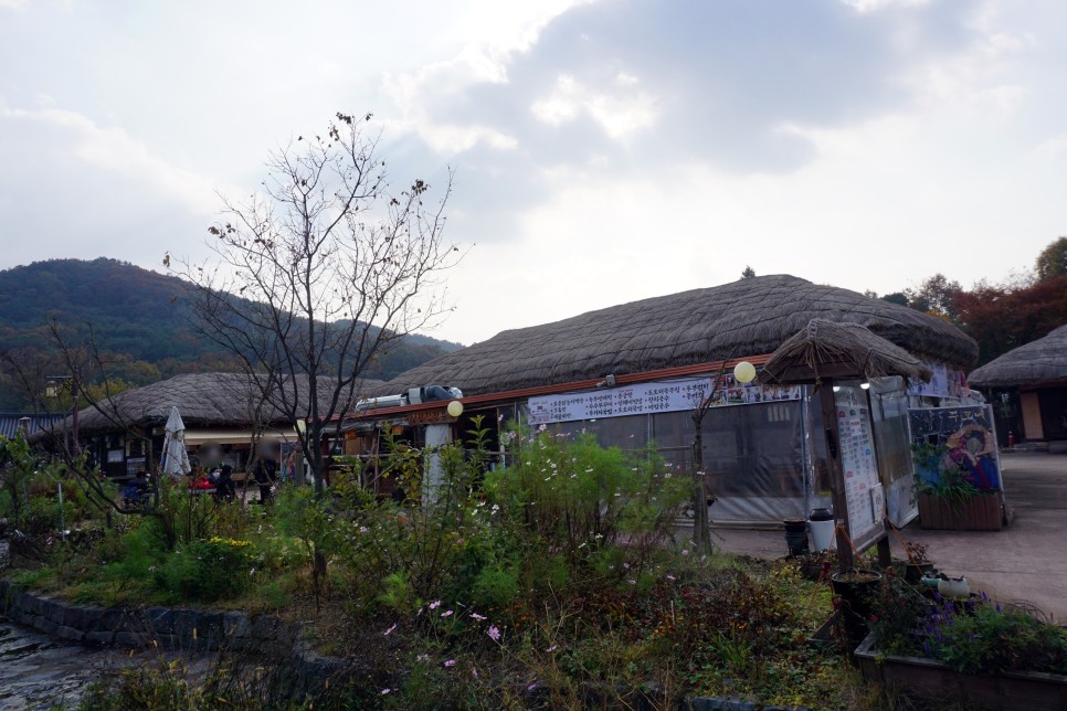 서울 근교 여행 아산 외암민속마을 주말 나들이