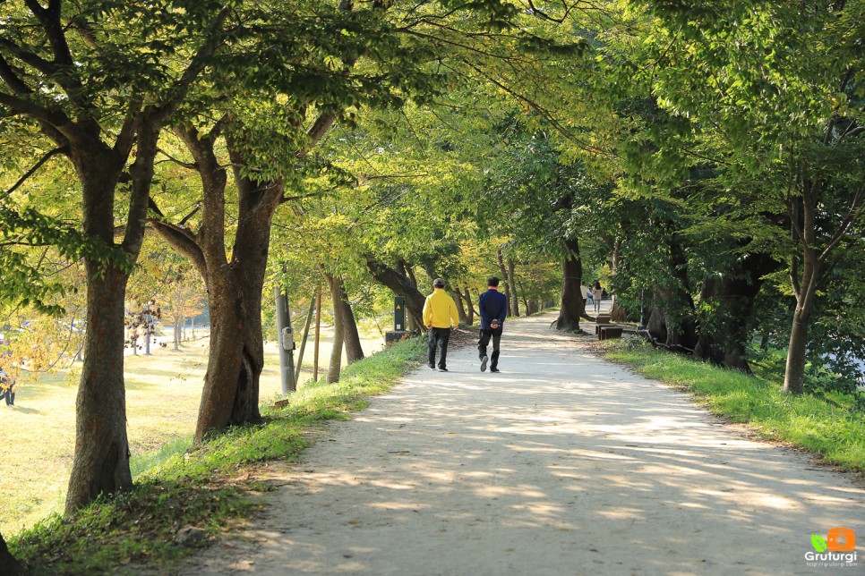 담양 가볼만한곳 죽녹원 담양 메타세콰이어길 포함 테마여행10선