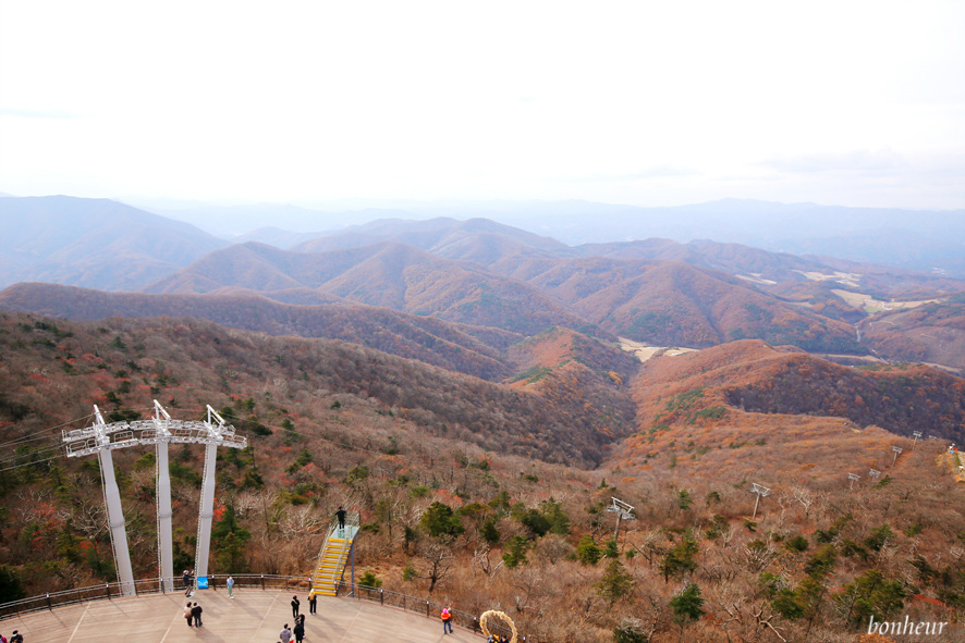 평창 용평리조트 발왕산 케이블카 최대 할인 스카이워크 단풍 명소