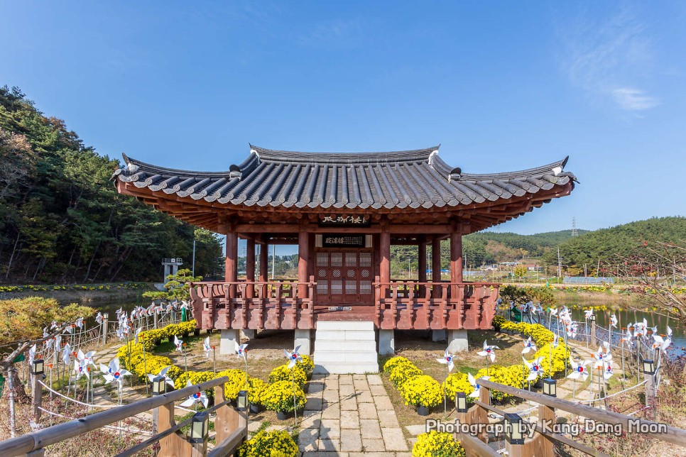 충남 드라이브코스 가볍게 가볼만한곳 태안 여행코스 볼거리 국화꽃축제