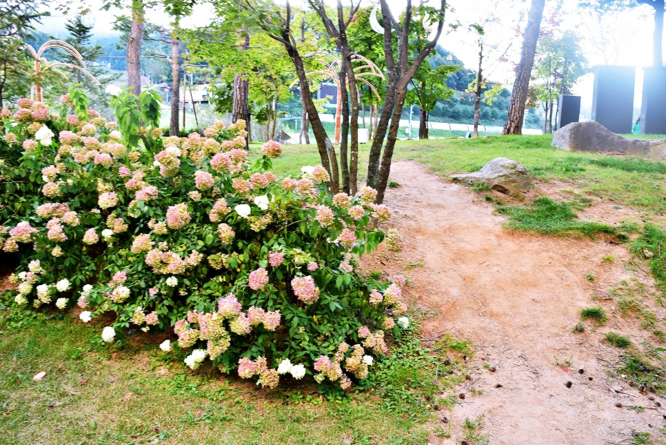 대한민국 숙박대전 평창 휘닉스파크 준비하기