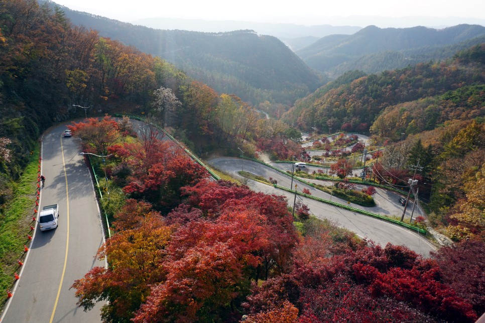 보은 가볼만한곳 속리산 말티재 전망대 충북 단풍구경