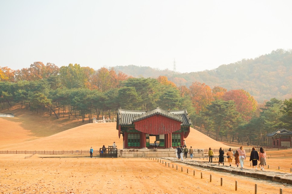 경기도 일산 가볼만한곳 서오릉 가을여행지