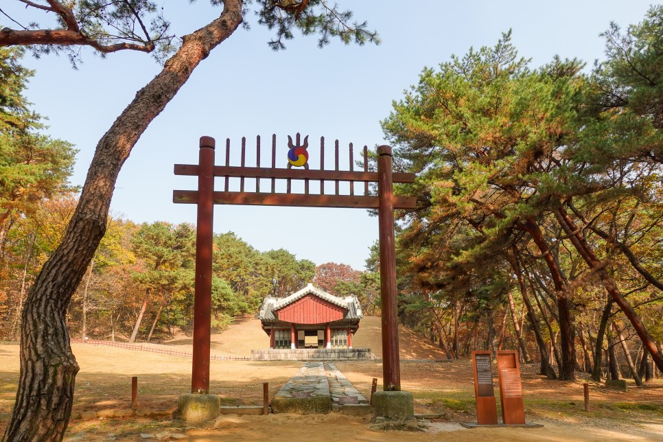 경기도 일산 가볼만한곳 서오릉 가을여행지