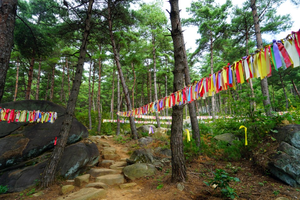 경남 가볼만한곳 합천 영상테마파크 & 돌탑왕국