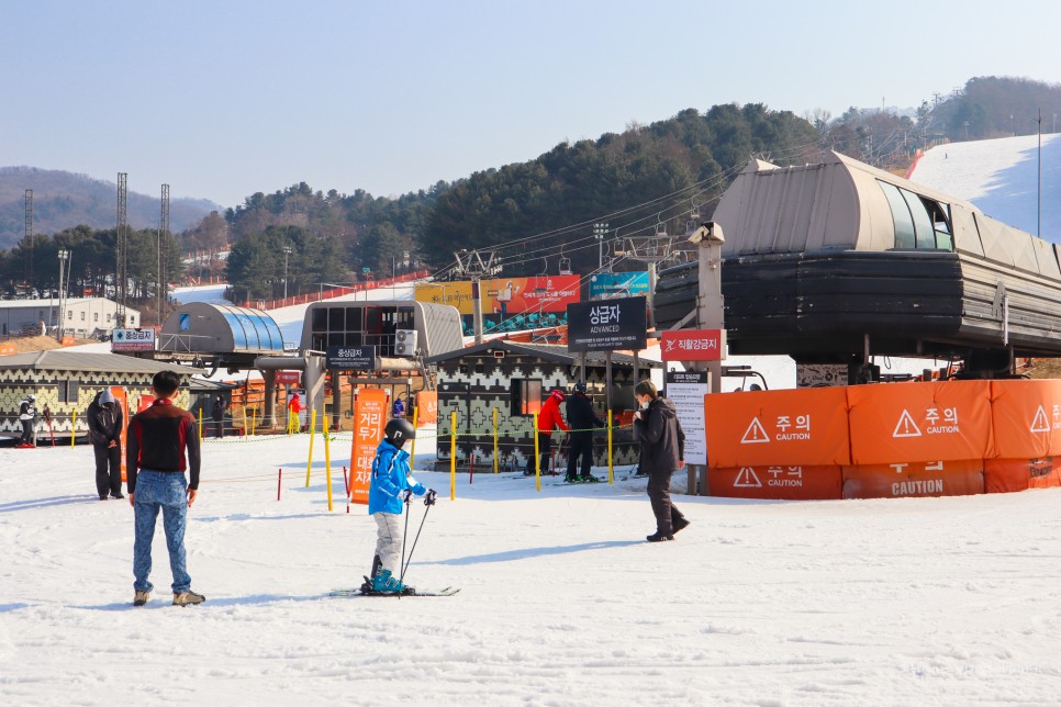 대한민국 숙박대전 포천 베어스타운 리조트 겨울여행
