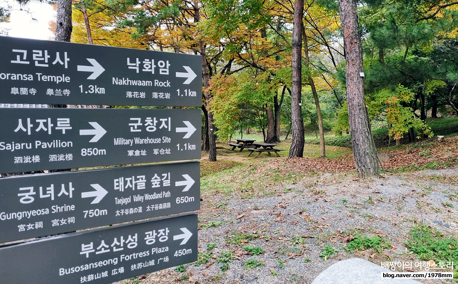 부여 가볼만한곳, 백제왕자도 산책하던 부소산성 가을 숲길 / 삼천궁녀 낙화암 풍경