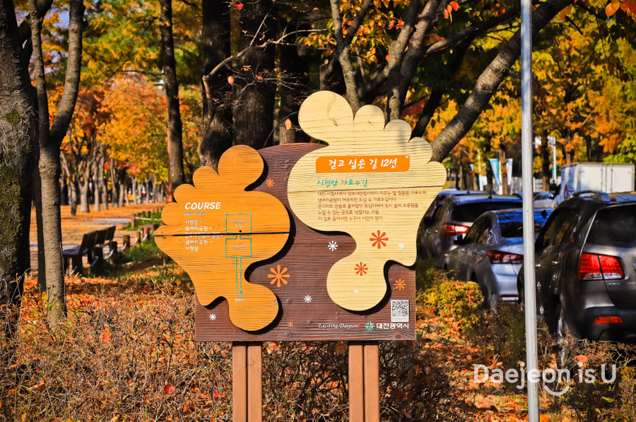 도심 속 휴식공간에서 느끼는 가을 풍경, 보라매공원