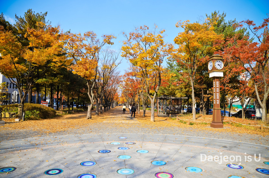 도심 속 휴식공간에서 느끼는 가을 풍경, 보라매공원