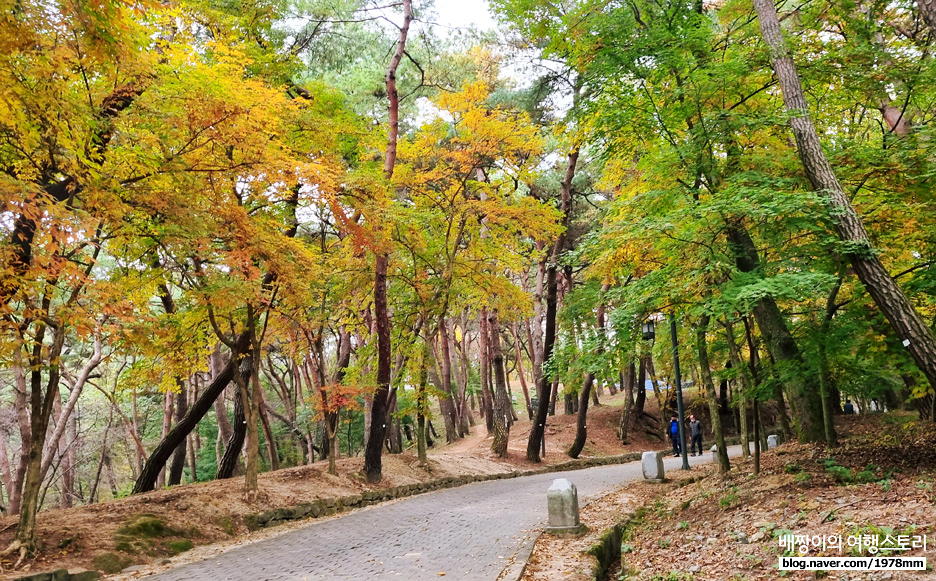 부여 가볼만한곳, 백제왕자도 산책하던 부소산성 가을 숲길 / 삼천궁녀 낙화암 풍경