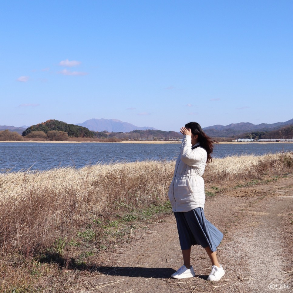 양면 경량패딩 만다리나덕 리버시블 다운셔츠 재킷